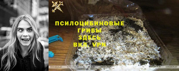 ECSTASY Пестово