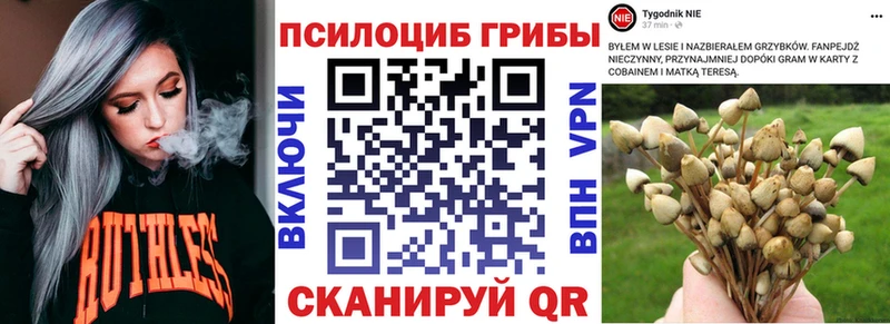 Галлюциногенные грибы GOLDEN TEACHER Куйбышев